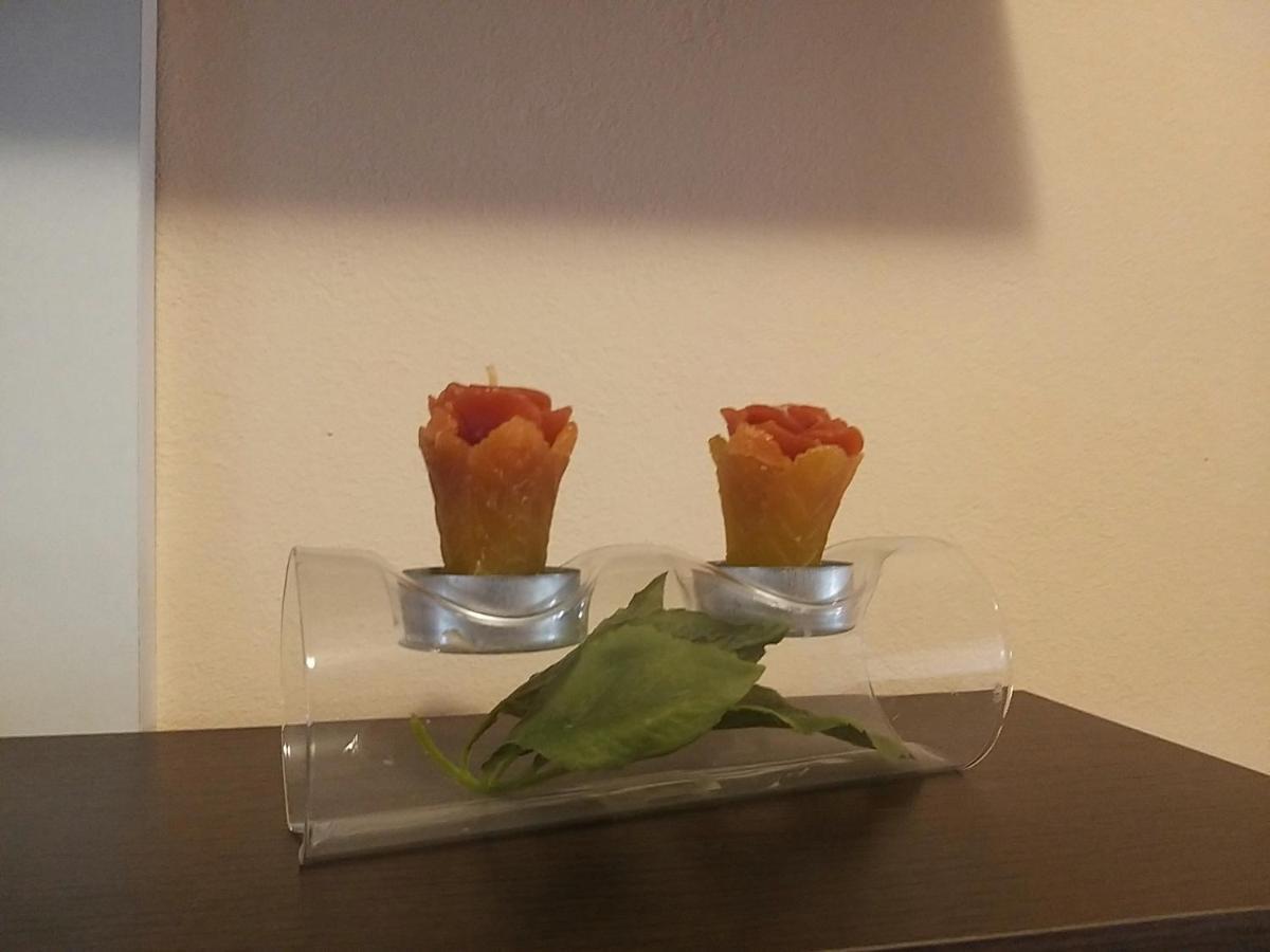 Sunny Apartment Jukic With Sea View ザダル エクステリア 写真