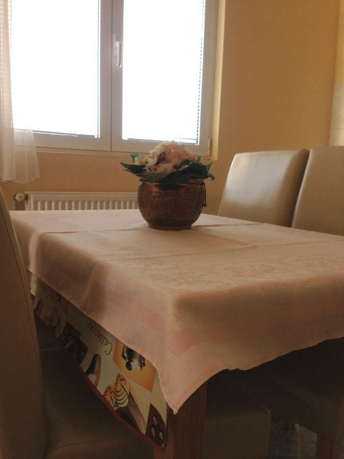 Sunny Apartment Jukic With Sea View ザダル エクステリア 写真